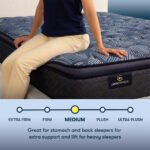 Serta Perfect Sleeper® Oasis Sleep 14.5" Medium Pillow Top Mattress - Image 2