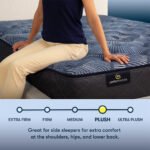 Serta Perfect Sleeper® Oasis Sleep 13.25" Plush Mattress - Image 2