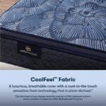 Serta Perfect Sleeper® Oasis Sleep 14.5" Medium Pillow Top Mattress - Image 6
