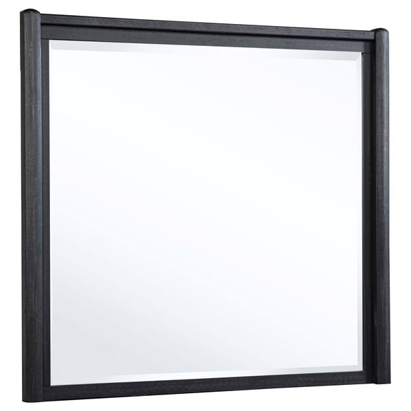 Coaster Leandro dresser mirror in burnished black frame