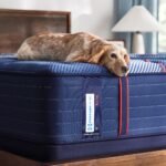 Sealy Posturepedic Elite Spring Albany II 14" Firm Tight Top Mattress - Image 9