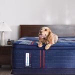 Sealy Posturepedic Elite Spring Albany II 15" Soft Euro Pillowtop Mattress - Image 9