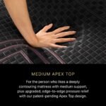 Beautyrest Black® Hybrid Series Two Medium Apex Top Mattress - Image 8