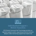 Beautyrest Core Level Two Medium Mattress - Image 3
