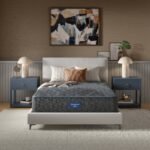 Beautyrest Core Level Two Extra Firm Mattress