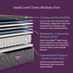 Beautyrest World Class Level Three Medium-Firm Mattress - Image 7