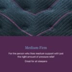Beautyrest World Class Level Three Medium-Firm Mattress - Image 8