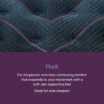 Beautyrest World Class Level Three Plush Mattress - Image 8