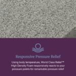 Beautyrest World Class Level Three Plush Mattress - Image 11