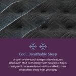 Beautyrest World Class™ Level 4 Plush Pillow Top Mattress - Image 5