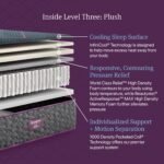 Beautyrest World Class™ Level 3 Hybrid Plush Mattress - Image 7