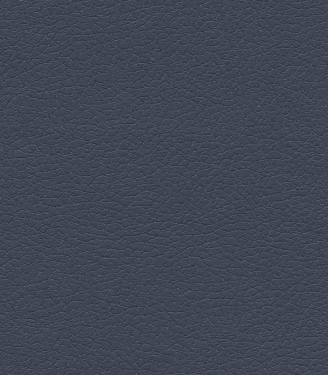 Night Navy