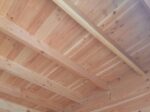 Studio de jardin Nantua 20m² bois Douglas 55mm – Image 2