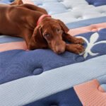 Stearns & Foster Reserve Duet Firm Tight Top Mattress with Reversible Topper - Image 5