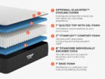 Titan® Plus Core - Image 3