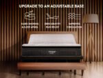 Titan® Plus Elite - Image 6