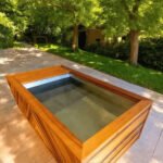 Cold Plunge - American made luxury | Cedro Sauna™ image 4