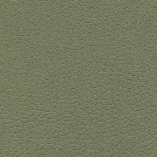 Dill